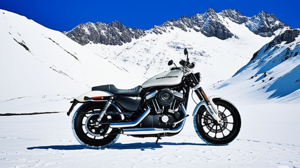 Harley Davidson Sprint Bike Features
